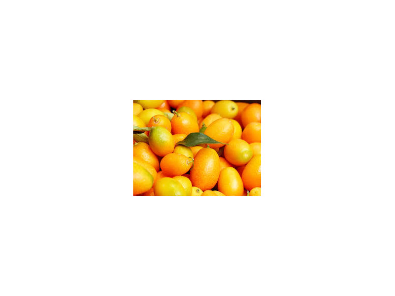 KUMKWAT PREMIUM 100 gr KUMKWAT PREMIUM 100 gr
