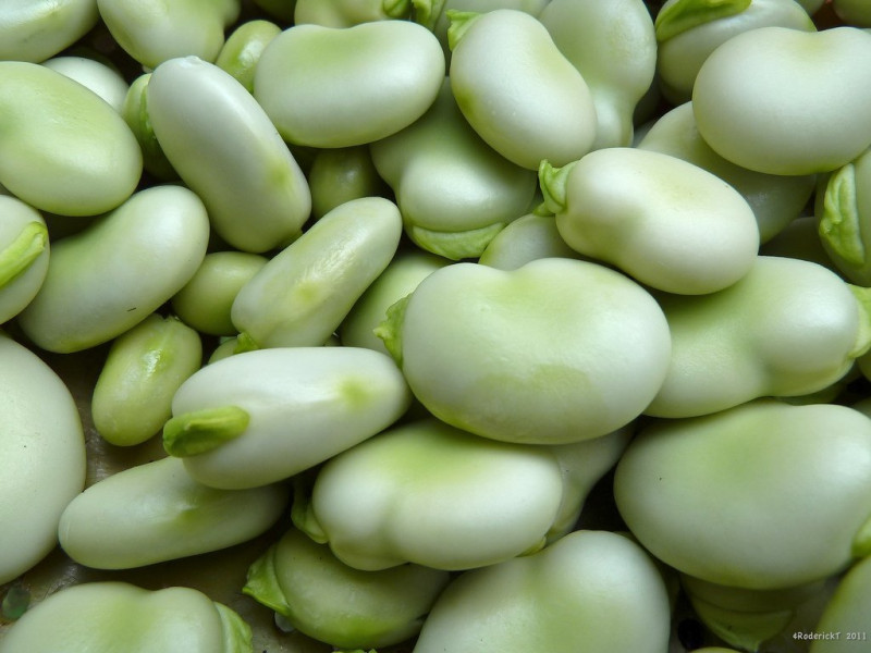 Bób 1kg