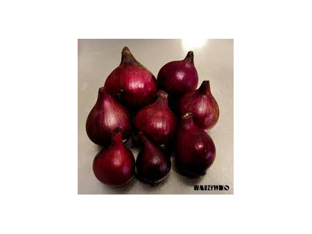 Cebula czerwona 1kg