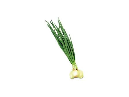 cebula ze szczypiorem 1szt