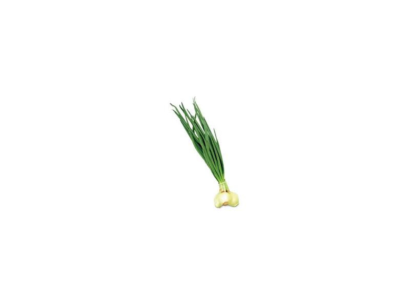 cebula ze szczypiorem 1szt cebula ze szczypiorem 1szt