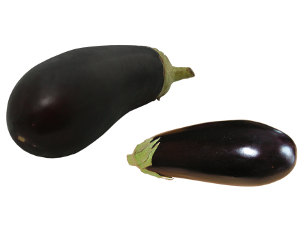 Bakłażan
