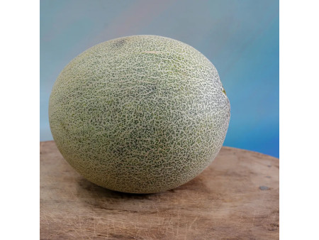 melon 1szt
