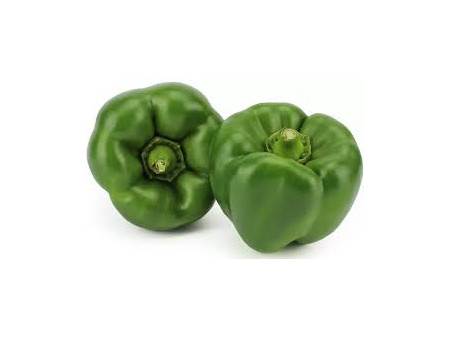 papryka zielona 1kg