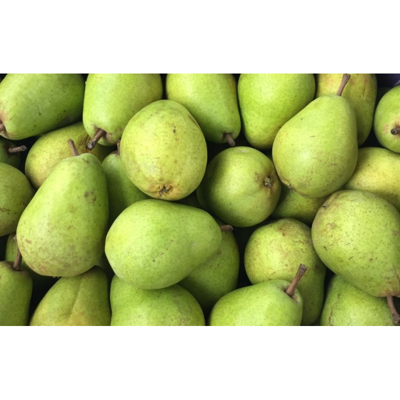 Gruszka Lukasówka 1kg