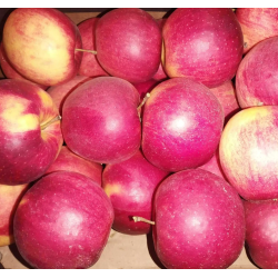 Jabłka Rubinstar 1kg