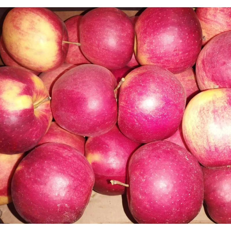 Jabłka Rubinstar 1kg