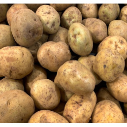 Ziemniaki 1kg