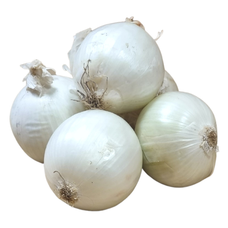 Cebula włoska czosnkowa 1kg Cebula włoska czosnkowa 1kg
